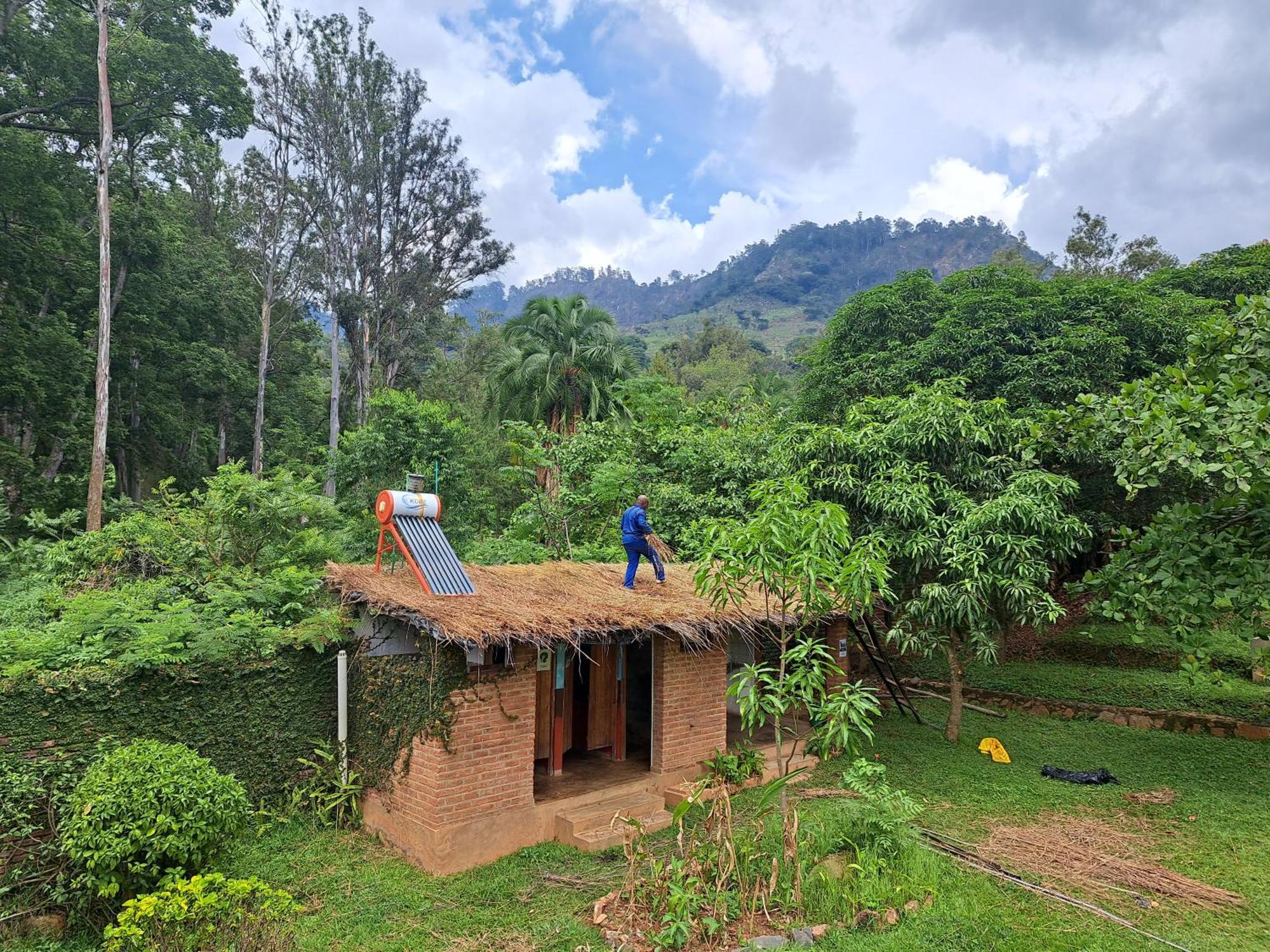 Zomba Blend Lodge And Kitchen - Pakachere מראה חיצוני תמונה
